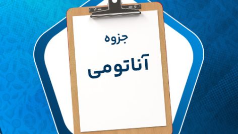 دانلود پی دی اف جزوه آناتومی دکتر بیرامی