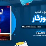 دانلود پی دی اف کتاب آموزگار فریدا مک فادن